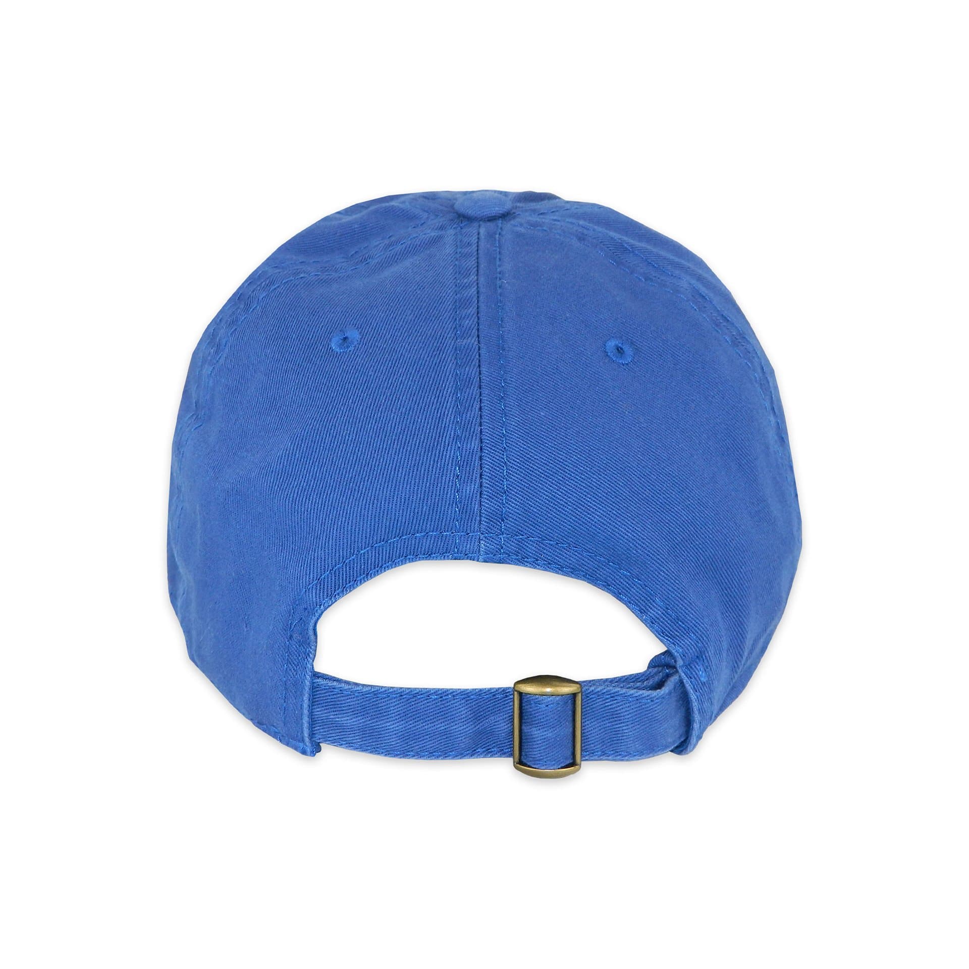 The Market Cap (Blue) 1